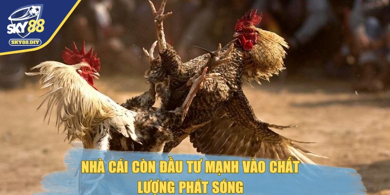 da-ga-sky88-phat-song
